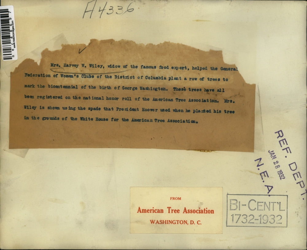 1932 Press Photo Mrs Harvey Wiley American Tree Association - nec48697