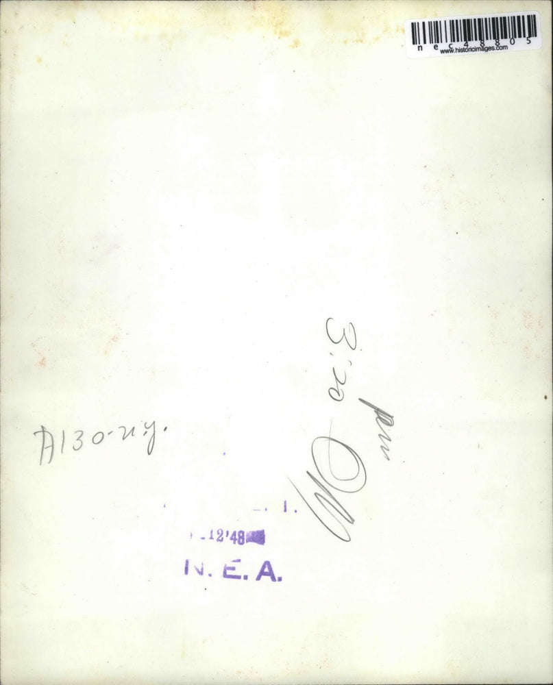 1948 Press Photo NYC huge crowds to hear Henry Wallace, presidential candidate