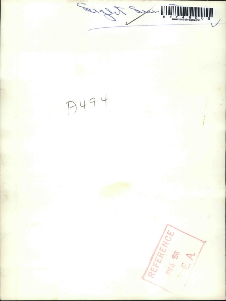 1956 Press Photo seeing eye dog