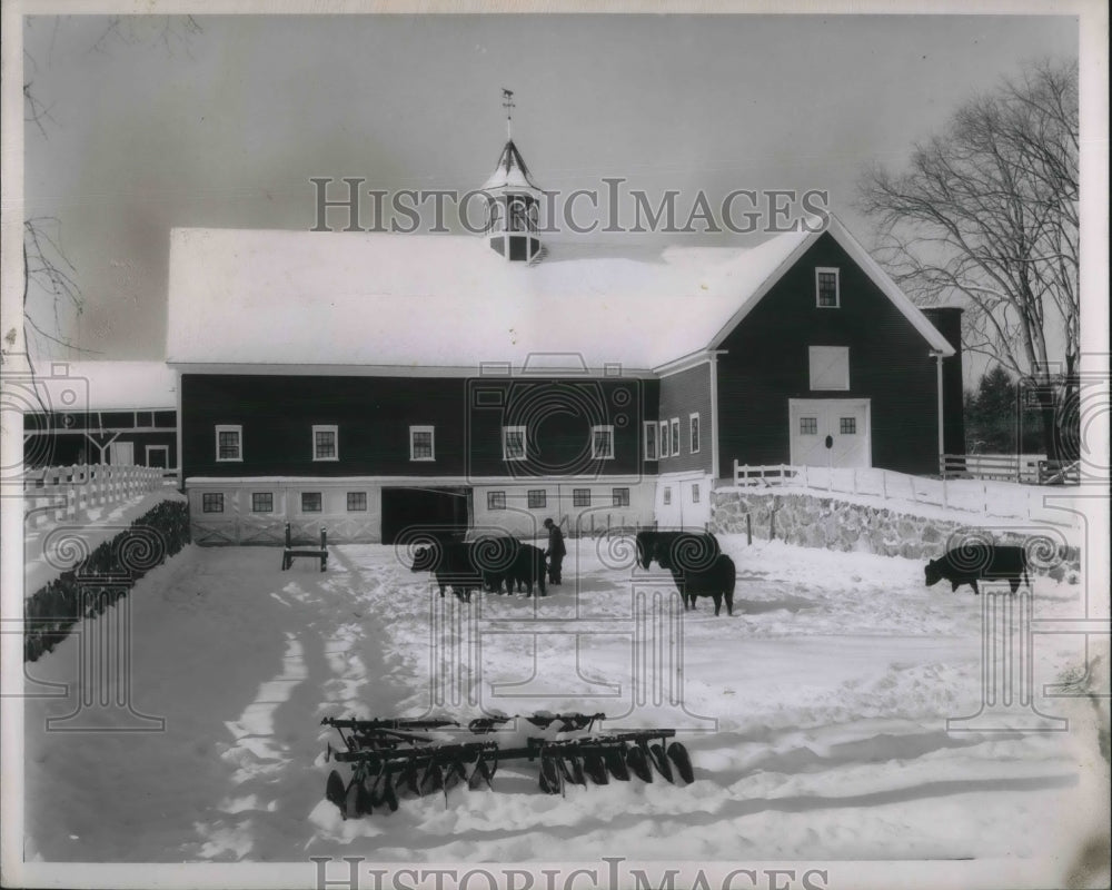 1954 Press Photo New Hampshire-feeding animals/farm