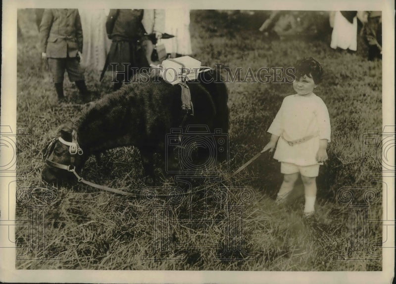 Load image into Gallery viewer, 1919 Press Photo "Babe" Ticheborne Collecting Donations for Soldiers with Pony
