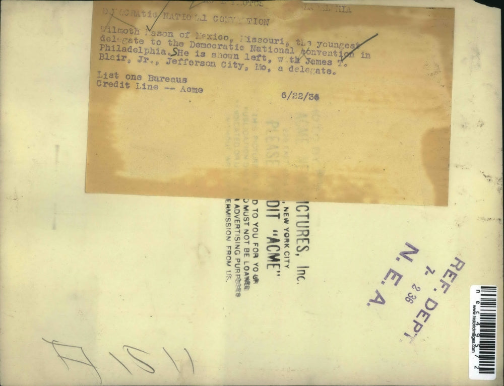 1936 Press Photo People at the democratic national convention.