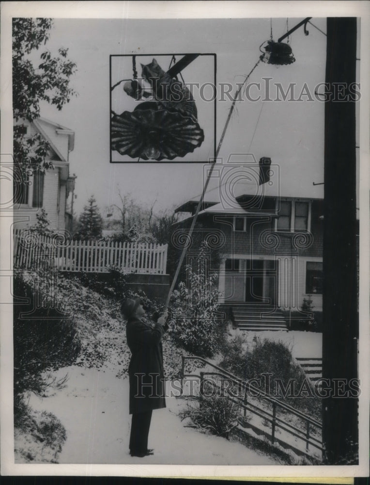 1949 Press Photo After Climbing A Light Pole TO Escape An Unfriendly Dog - Historic Images