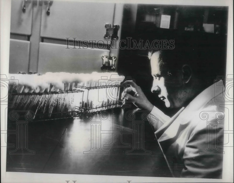 Load image into Gallery viewer, 1939 Press Photo Scientist At Georgetown School Of Medicine Examines Tube Germs
