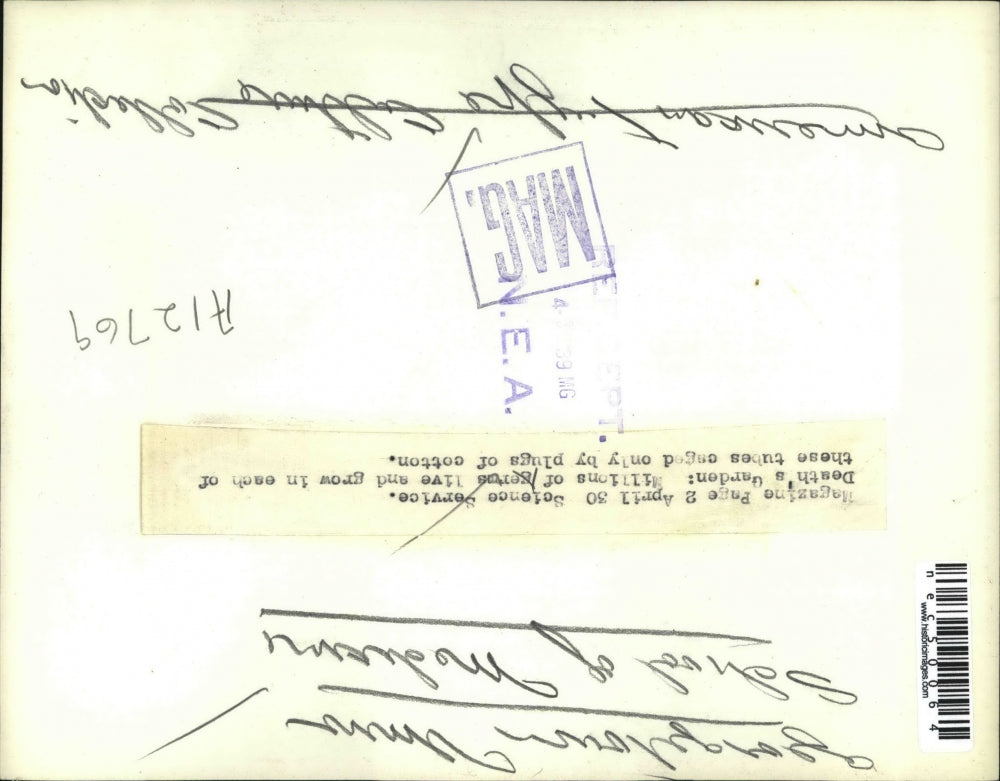 1939 Press Photo Scientist At Georgetown School Of Medicine Examines Tube Germs