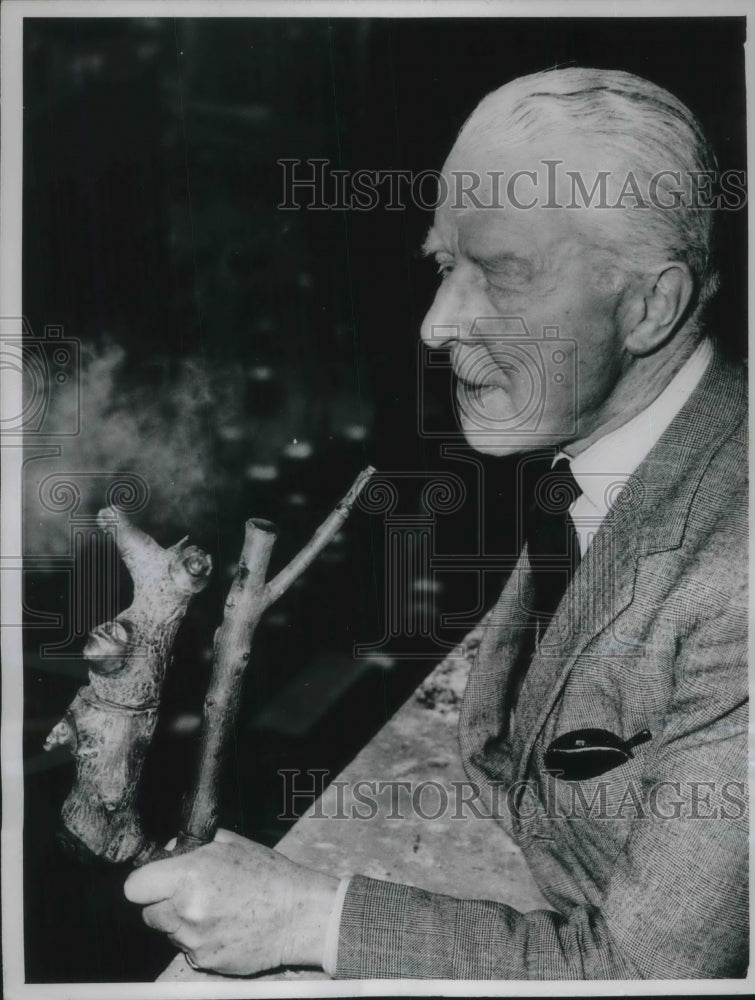 1961 Press Photo London nearest surviving descendent of Sir Waltewr Raleigh is