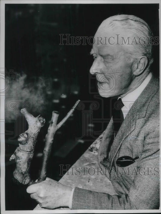 1961 Press Photo London nearest surviving descendent of Sir Waltewr Raleigh is