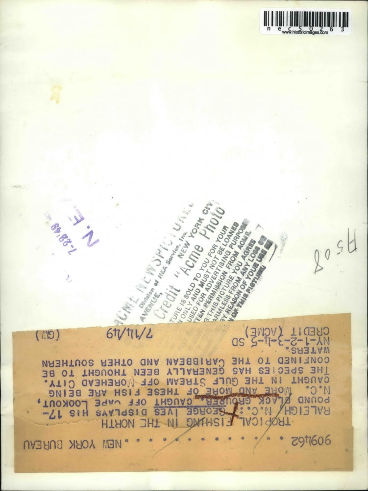 1949 Press Photo Cape Lookout, N.C. grouper caught by George Ives