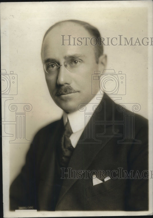 1919 Press Photo Swiss Charge d'Affaires Aderlin- Historic Images