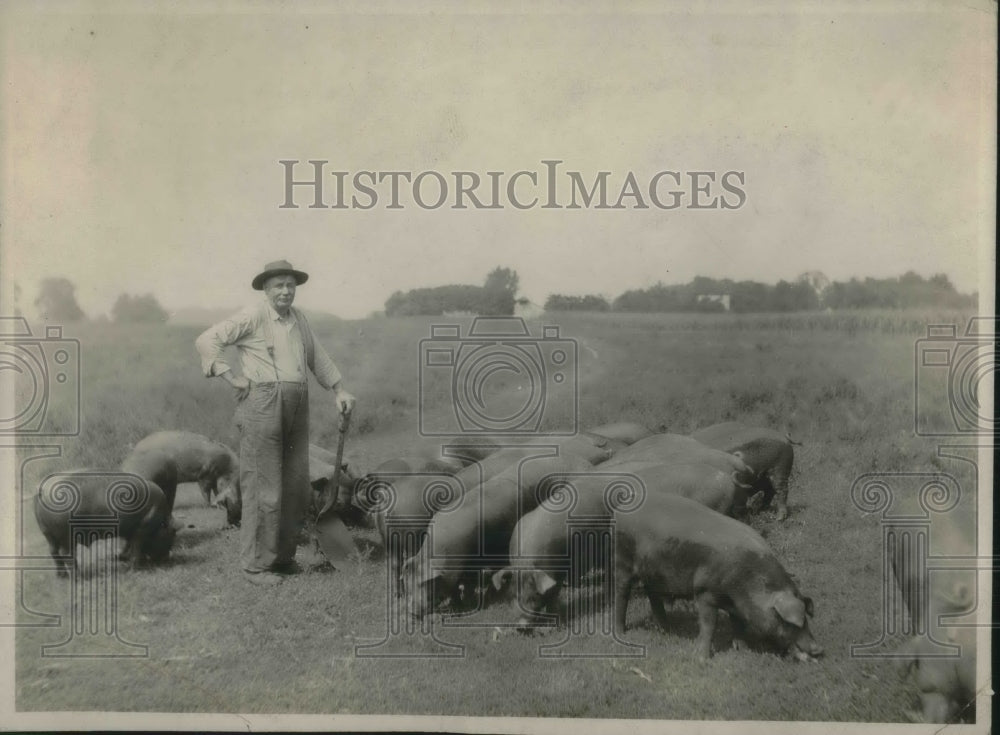 1925 Press Photo J.F. Randall and his 5 month old hogs which are ready for