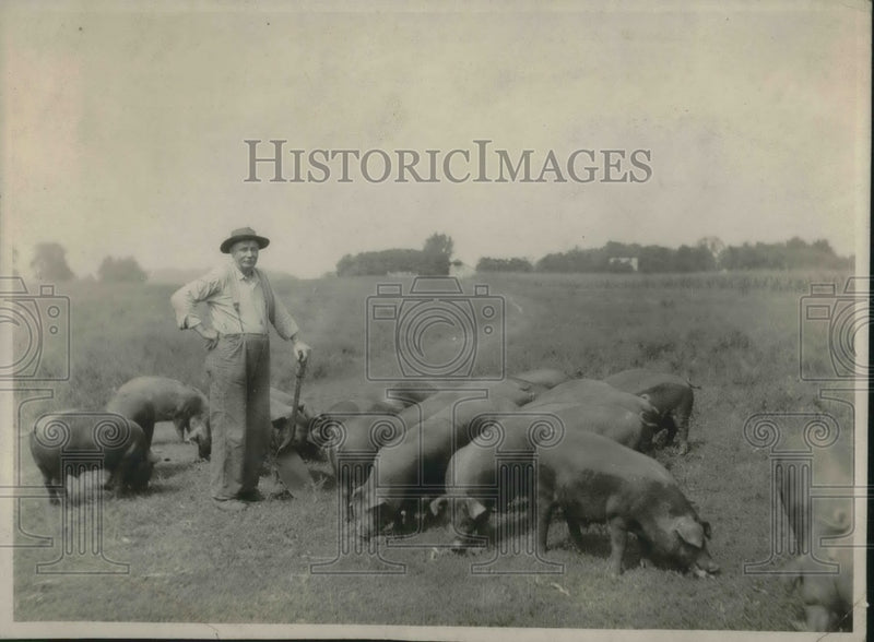Load image into Gallery viewer, 1925 Press Photo J.F. Randall and his 5 month old hogs which are ready for
