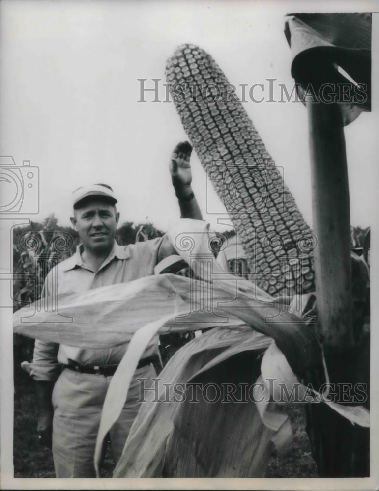 1958 Press Photo William Odom, research and plant breeding program, shows corn