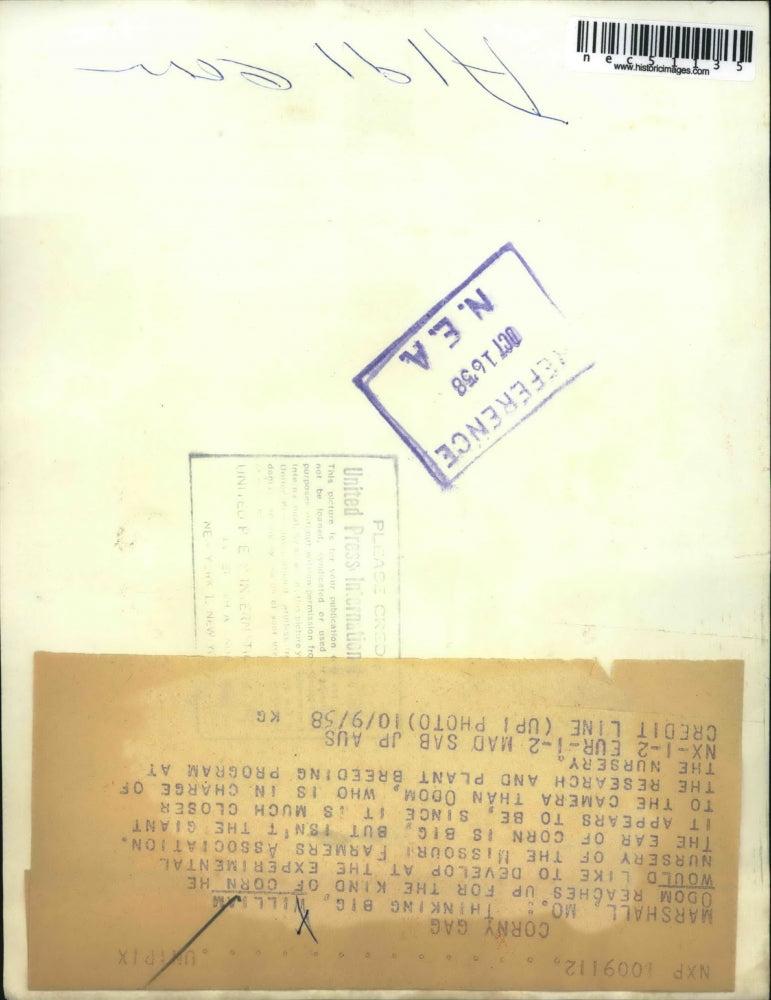 1958 Press Photo William Odom, research and plant breeding program, shows corn