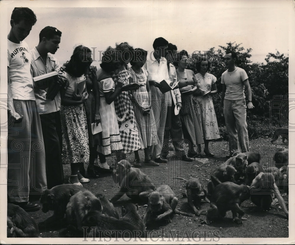 1950 Press Photo Puerto Ricans Feed Colony Of Research Monkeys On Island- Historic Images