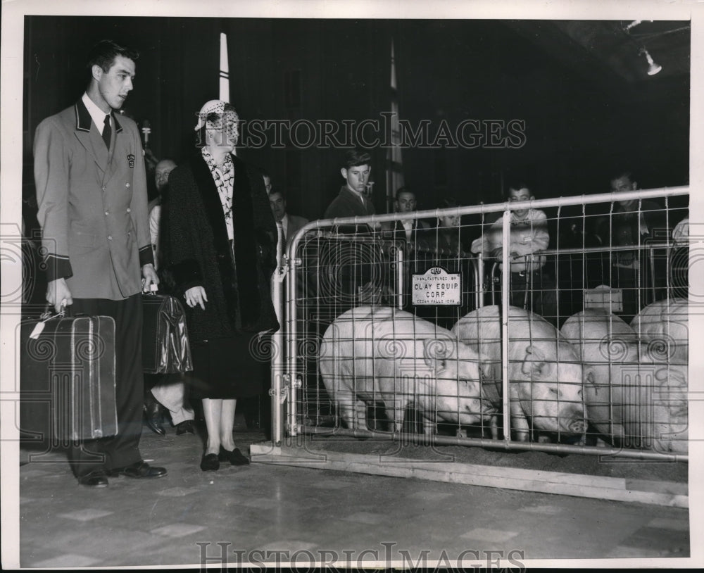 1953 Press Photo Hogs at the Conrad Hilton