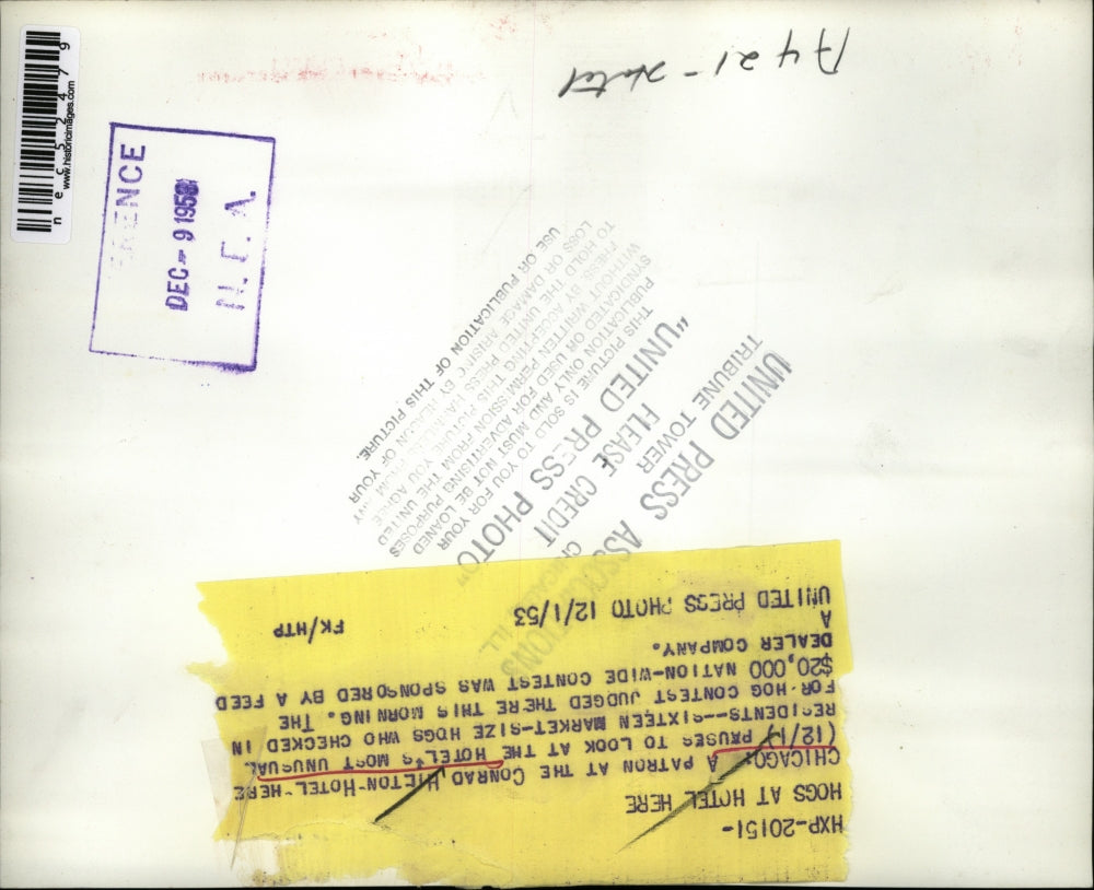 1953 Press Photo Hogs at the Conrad Hilton