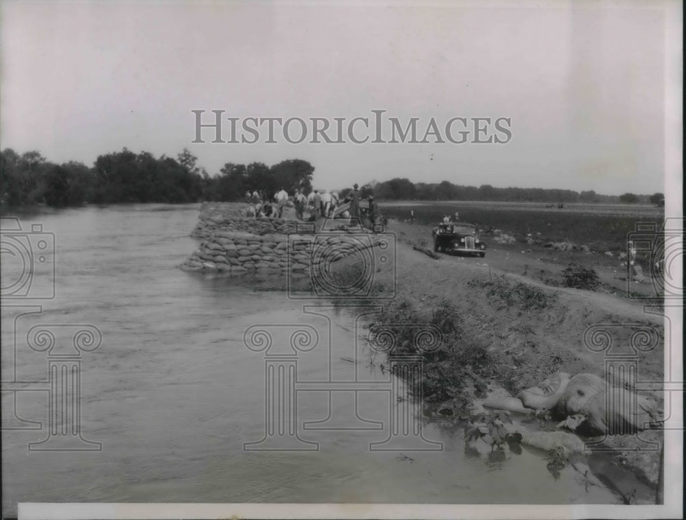 1935 Press Photo Sand Bags Being Plced on Levee on Kaw River Near Lawrence, KA