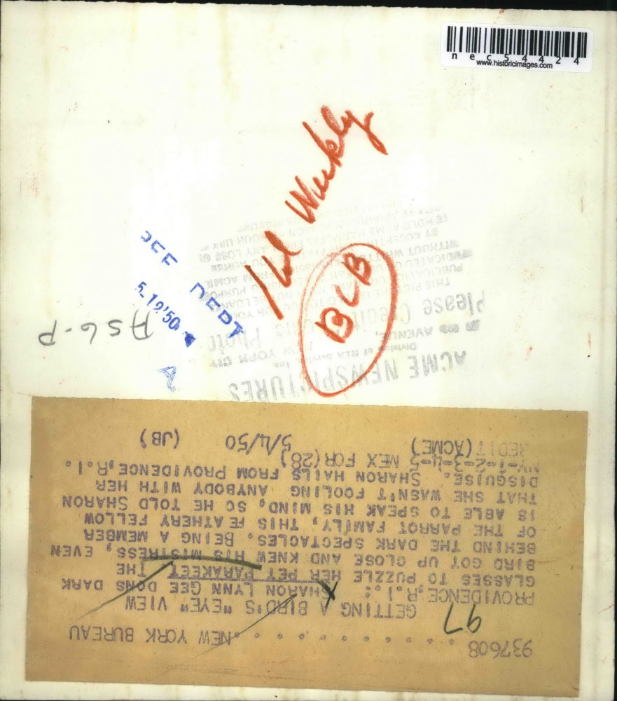 1950 Press Photo Sharon Lynn Gee could not fool parrott he could tell her