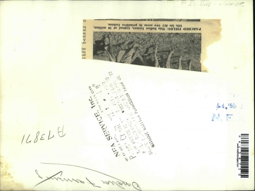 1950 Press Photo Indian farmer & his oxen plow a field