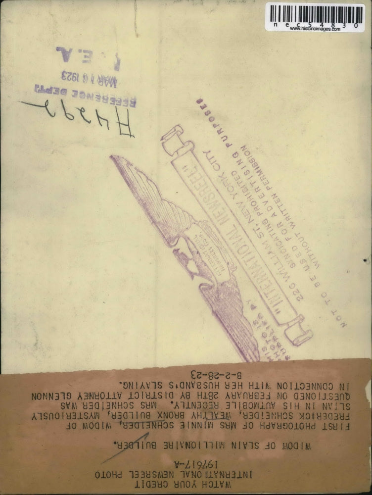 1923 Press Photo Mrs. Minnie Schneider Widow of Murdered Frederick Schneider