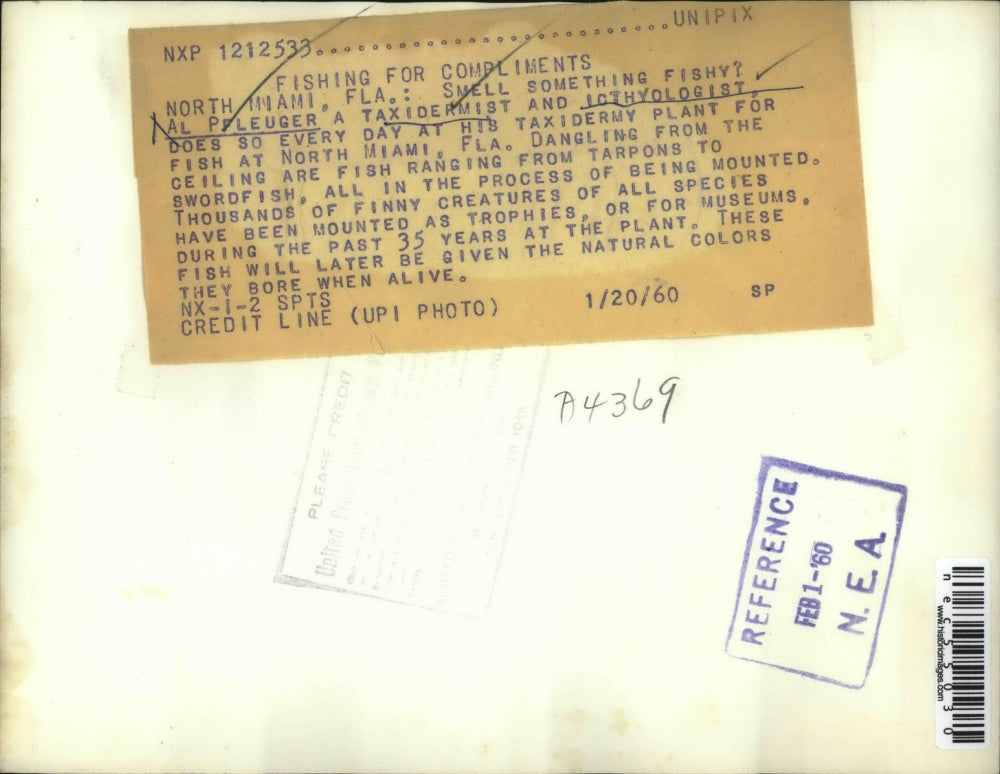 1960 Press Photo AL Pfleuger, Taxidermist