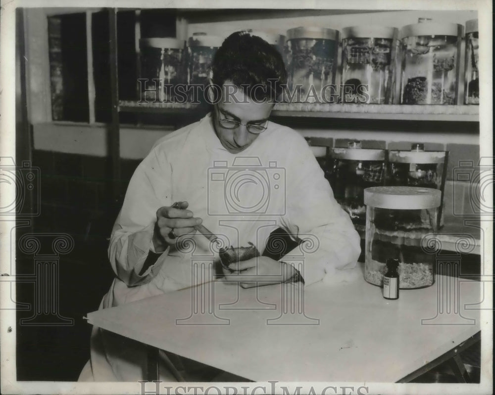 1941 Press Photo Dr Charles Armstrong of the National Institute of Health