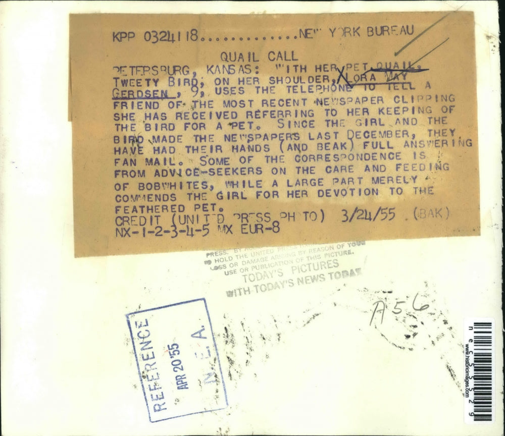 1955 Press Photo Lora May Gerdsen, Pet Bobwhite Bird, Petersburg, Kansas