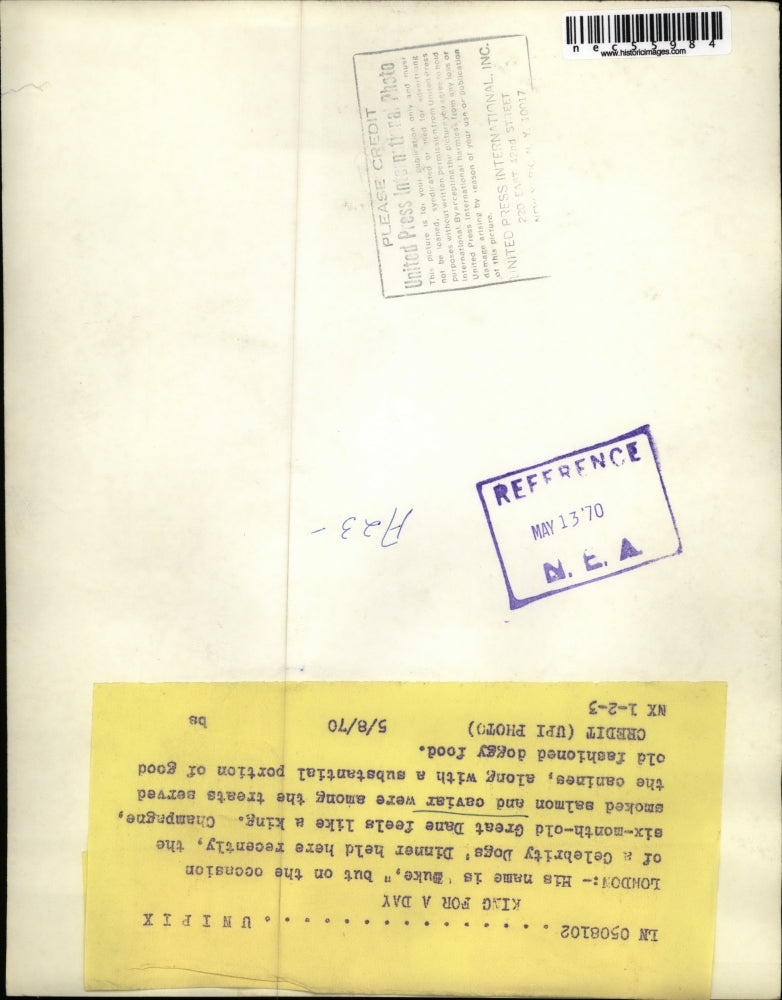 1970 Press Photo Duke the Great Dane at Celebrity Dogs' Dinner