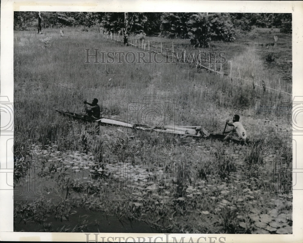 1943 Press Photo Caribbean Natives Paddle Canoe Through Inland Waterways WWII- Historic Images