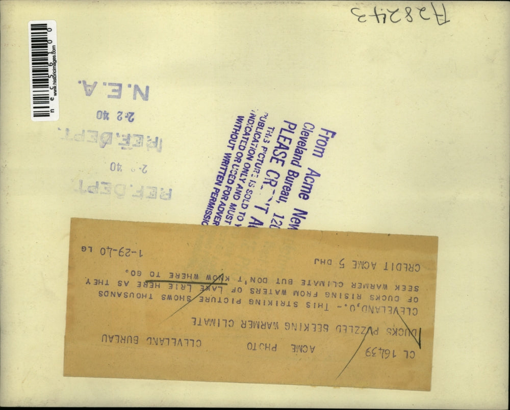 1940 Press Photo Ducks Flying Over lake Erie