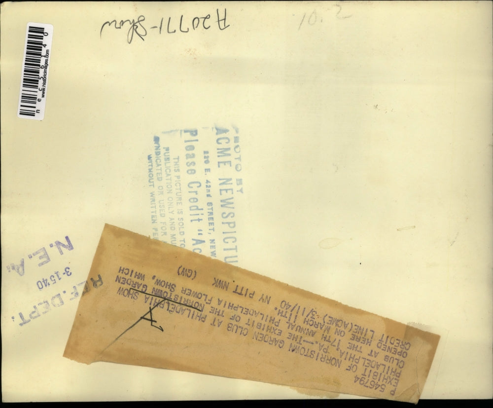 1940 Press Photo Norristown Garden Club Exhibit