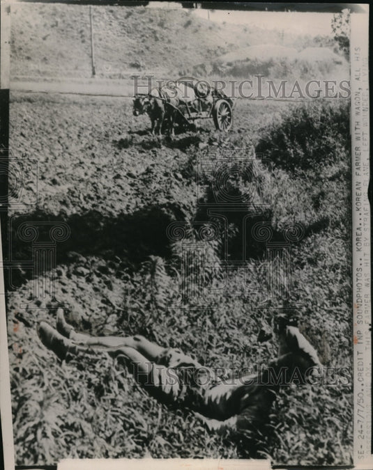 1950 Press Photo Korean Farmer with Wagon and Possessions Hit by Plane- Historic Images