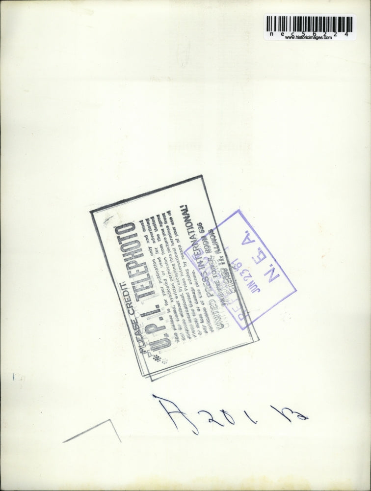 1961 Press Photo Mamma Grizzly Bear With Two Cubs At San Francisco Zoo