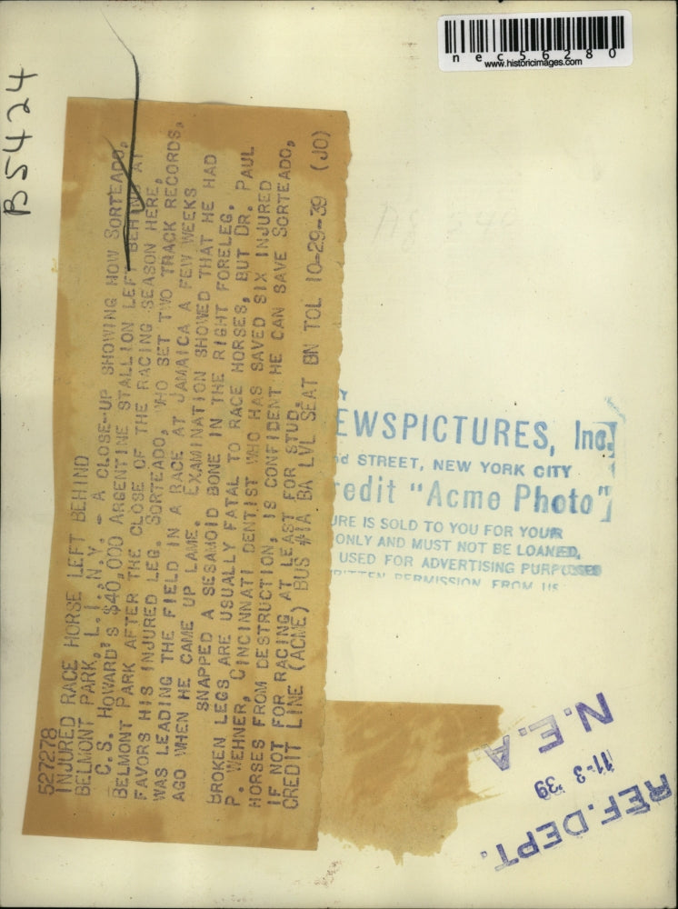 1939 Press Photo Sorteado, Injured Race Horse's Leg