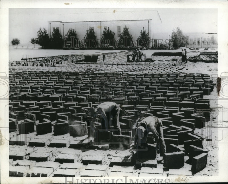Load image into Gallery viewer, 1949 Press Photo - nec56056
