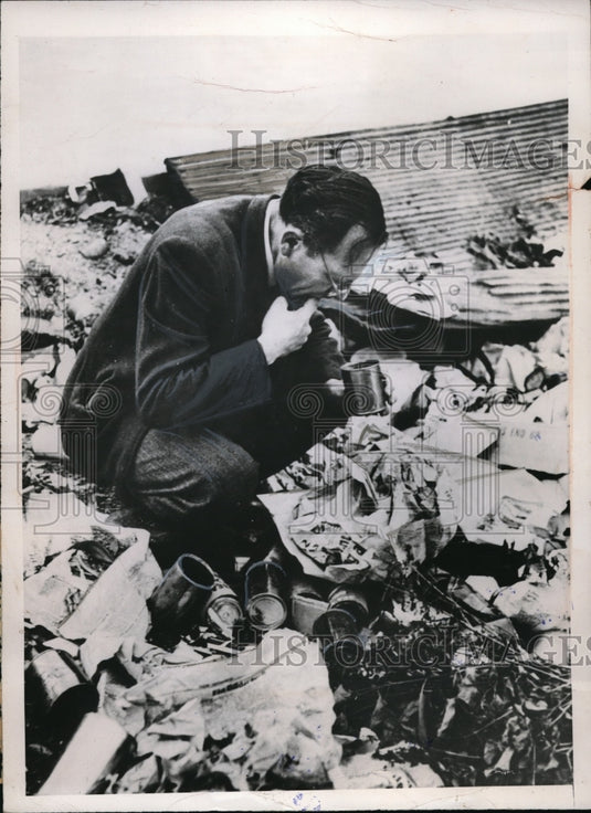1946 Press Photo Hungry Viennese man looking for food in the trash- Historic Images