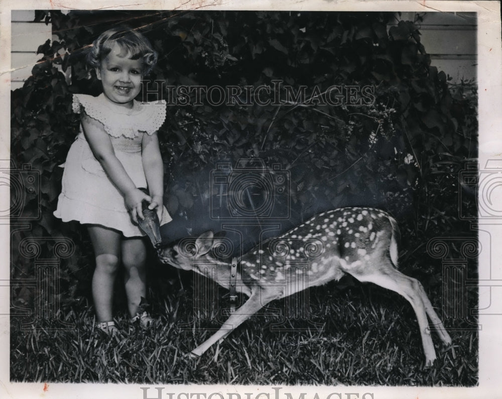 1949 Press Photo Cute Toddler Biana Basham Feeds Poncho The Pet Fawn From Bottle