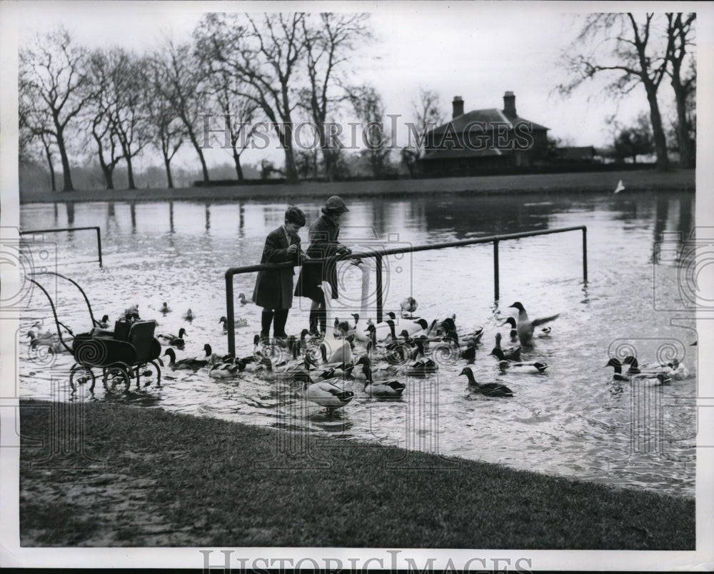 1957 Press Photo Kids Feed Flock Of Geese At River Thames Windsor England
