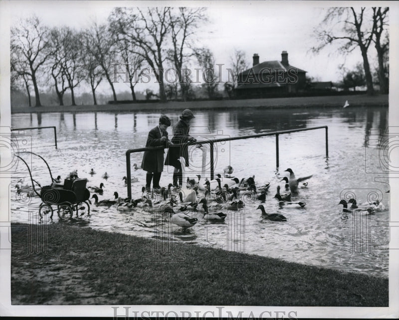 Load image into Gallery viewer, 1957 Press Photo Kids Feed Flock Of Geese At River Thames Windsor England
