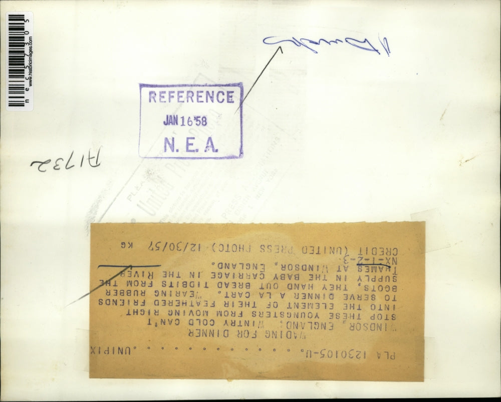 1957 Press Photo Kids Feed Flock Of Geese At River Thames Windsor England