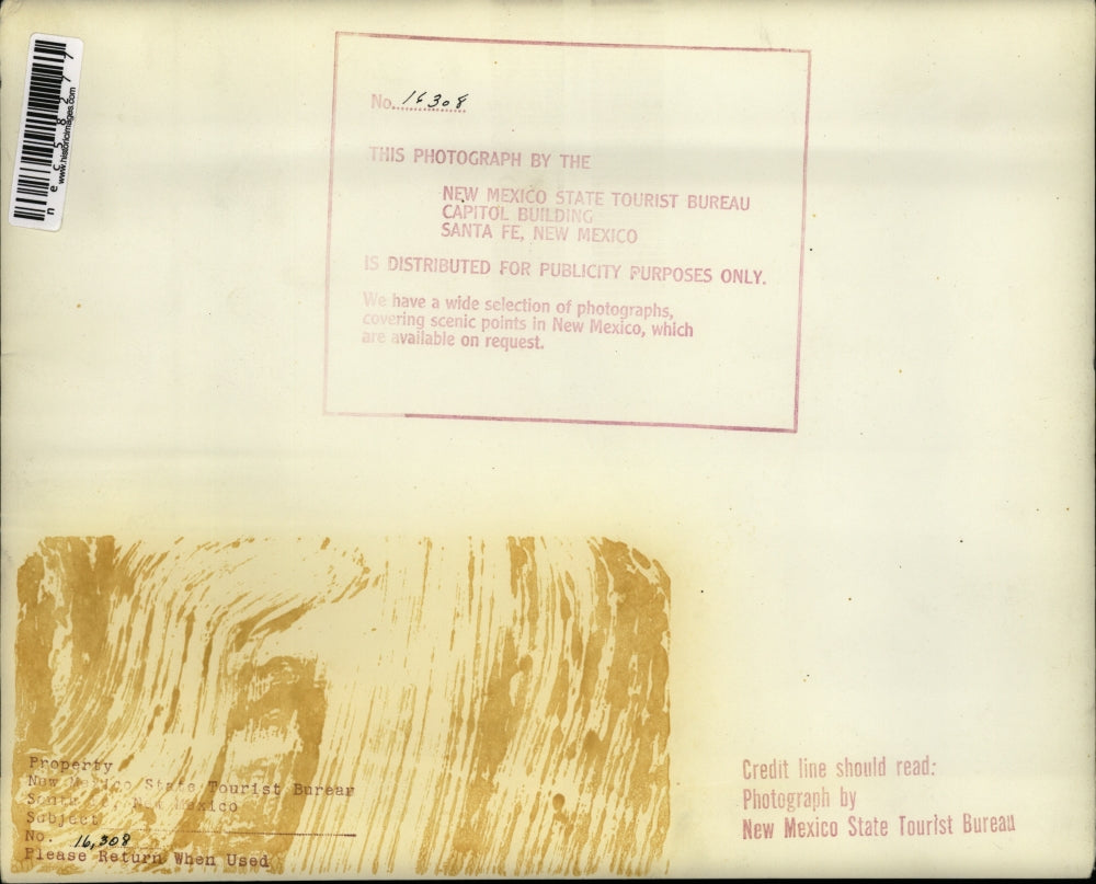 Press Photo Couple with White Lamb and Three Black Lambs in Santa Fe, New Mexico
