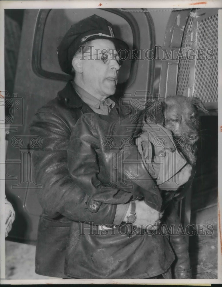 1954 Press Photo Ben Maringer Anti Cruelty Society