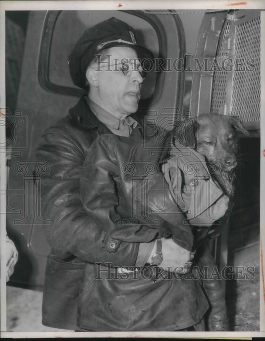 1954 Press Photo Ben Maringer Anti Cruelty Society