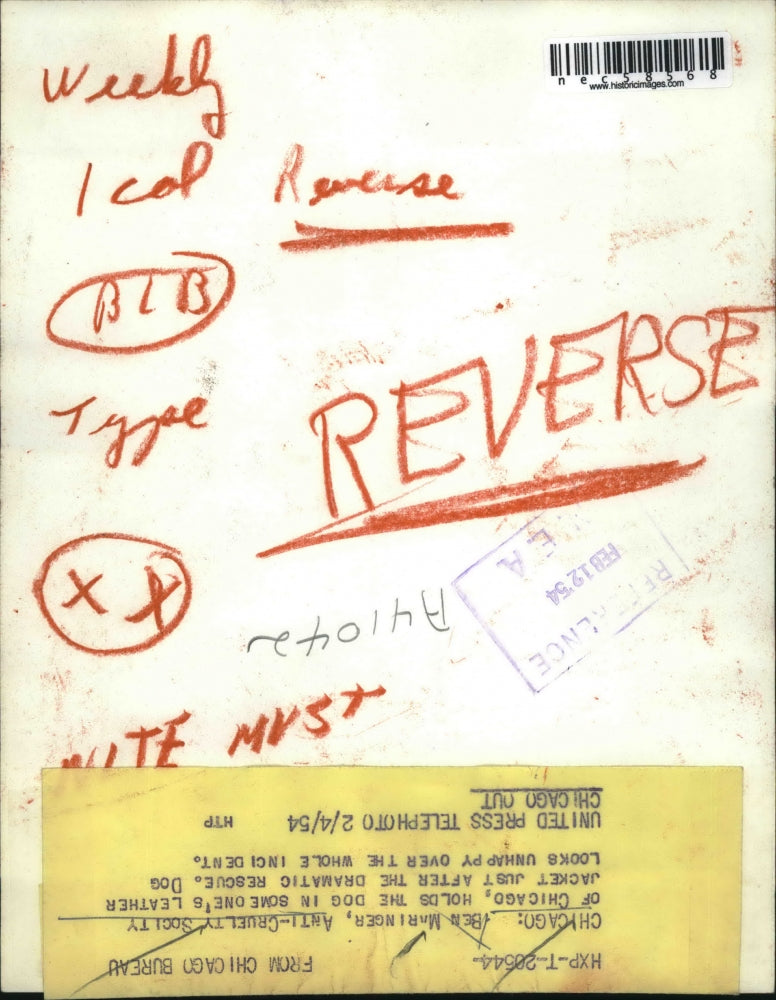 1954 Press Photo Ben Maringer Anti Cruelty Society