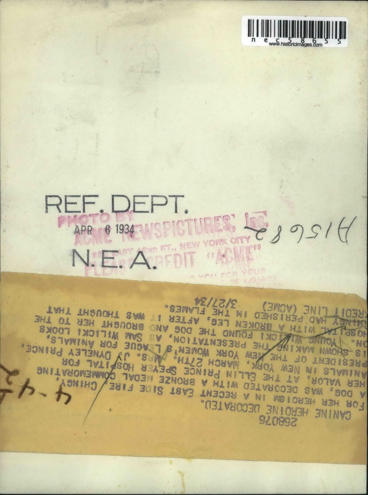 1934 Press Photo Chingy the Dog is hero of East Side fire - nec58655