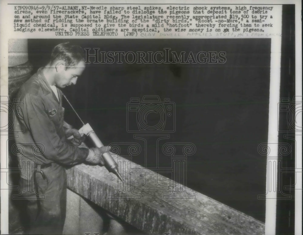 1957 Press Photo Clay Powell Applies Roost-No-More to Get Rid of Pigeons