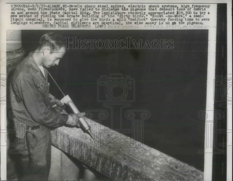 Load image into Gallery viewer, 1957 Press Photo Clay Powell Applies Roost-No-More to Get Rid of Pigeons
