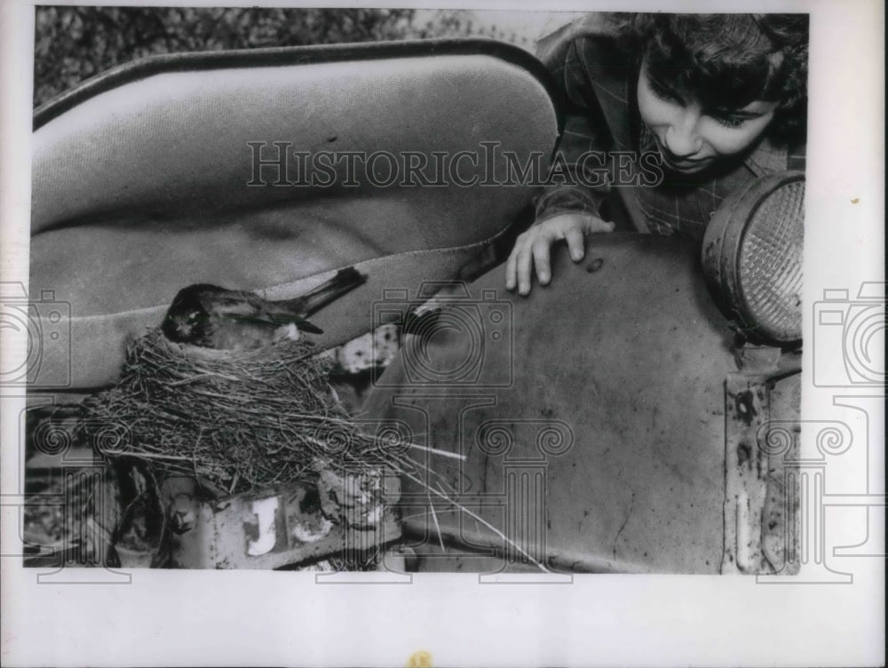 1959 Press Photo Mother Robin With Nest Under Tractor Seat- Historic Images