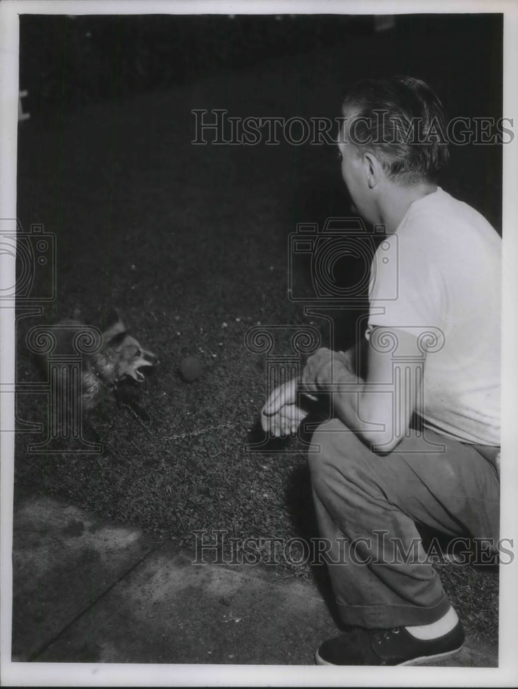 Load image into Gallery viewer, 1955 Press Photo Laddie Pujzdar and pet Fox
