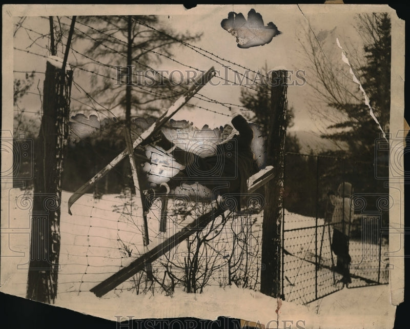 Load image into Gallery viewer, 1924 Press Photo At the "Hare and the Hound Race" in Lake Placid

